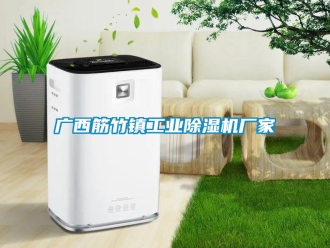 企業新聞廣西筋竹鎮工業除濕機廠家