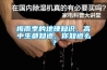 哪個牌子的除濕機比較好？高品質除濕機推薦