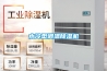 防潮除濕有什么妙法