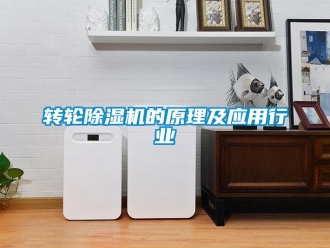 常見問題轉輪除濕機的原理及應用行業