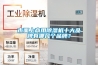 高低溫箱,實驗室經濟型高低溫試驗箱