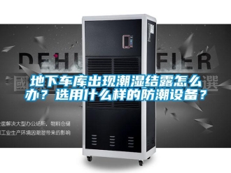 企業(yè)新聞地下車庫出現(xiàn)潮濕結(jié)露怎么辦？選用什么樣的防潮設(shè)備？