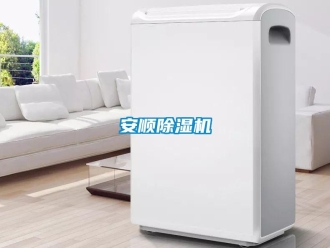 企業新聞安順除濕機