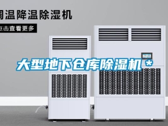 企業(yè)新聞大型地下倉庫除濕機(jī)＊