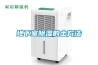 除了除濕器可以除濕，這些植物也可以除濕