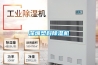 除濕機(jī)選購(gòu)攻略：哪種除濕機(jī)更好用