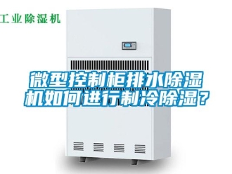 行業(yè)新聞微型控制柜排水除濕機(jī)如何進(jìn)行制冷除濕？