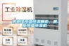租房潮濕怎么辦？就用ZD-228LB小空間除濕機