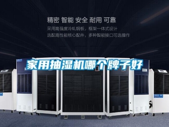 企業(yè)新聞家用抽濕機(jī)哪個(gè)牌子好