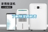 商業廣場如何引人注目？超聲波造霧機