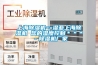 恩施利川塑料托盤規(guī)格型號金朔塑業(yè)塑料防潮板