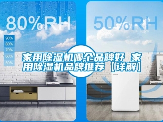 企業新聞家用除濕機哪個品牌好 家用除濕機品牌推薦【詳解】