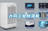 防爆除濕機(jī)  防爆抽濕機(jī)