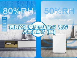 行業(yè)新聞我真的需要除濕機(jī)嗎？南方人需要嗎？(圖)