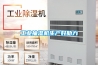除濕機(jī)市場(chǎng)亂象叢生造假泛濫
