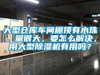 企業(yè)新聞大型倉庫車間棚頂有水珠，量很大，要怎么解決，用大型除濕機(jī)有用嗎？