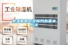 家用除濕機(jī)好用嗎？