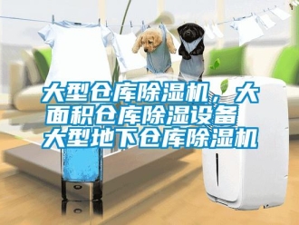 企業(yè)新聞大型倉庫除濕機(jī)，大面積倉庫除濕設(shè)備 大型地下倉庫除濕機(jī)