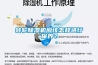 寧波除濕機廠家-快速交貨的除濕機工廠