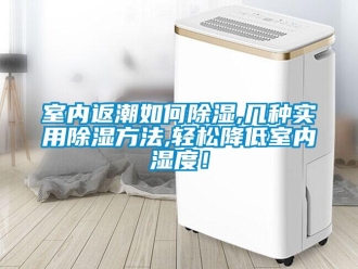 企業(yè)新聞室內(nèi)返潮如何除濕,幾種實(shí)用除濕方法,輕松降低室內(nèi)濕度！