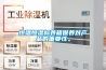 除濕機的保養方法,定時清洗注意衛生(2)