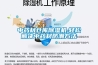 一種插接式除濕器的制作方法