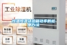 高低溫濕熱交變試驗箱