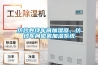商場的除濕機、干衣機、抽濕機、除濕劑銷售同比增長一兩成