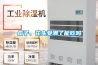 地下室除濕如何辦到節能除濕效果好