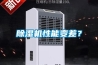 工業(yè)除濕器的工作原理