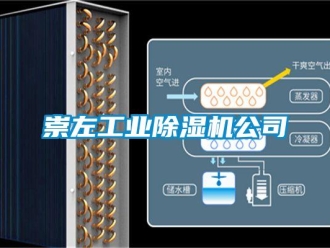 常見問題崇左工業除濕機公司