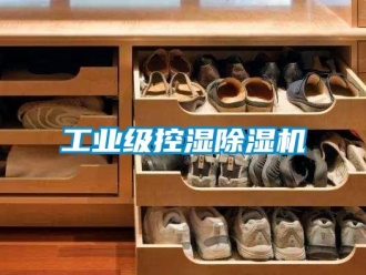 常見問題工業(yè)級(jí)控濕除濕機(jī)