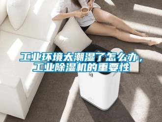 常見問題工業環境太潮濕了怎么辦，工業除濕機的重要性