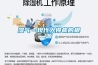 回南天來(lái)襲：家用除濕機(jī)最強(qiáng)挑選攻略