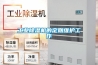 興安盟低溫冷庫型除濕機CFZ10BD