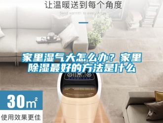 企業新聞家里濕氣大怎么辦？家里除濕最好的方法是什么