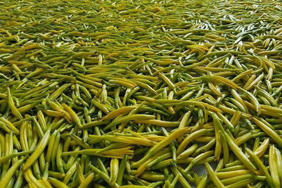 無硫金針菜烘干如何保持品相？不發(fā)黑？